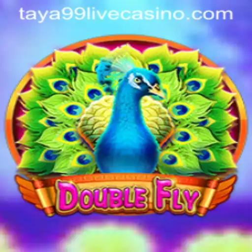 DoubleFly: Soaring to New Heights in Modern Gaming